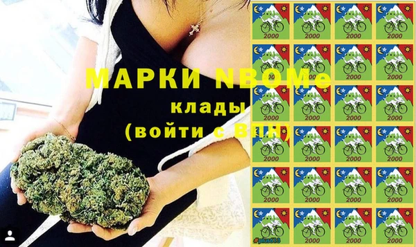 мет Алексин