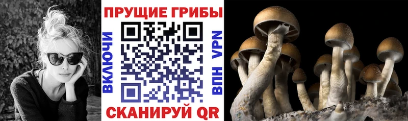 хочу   Нижние Серги  Галлюциногенные грибы мицелий 